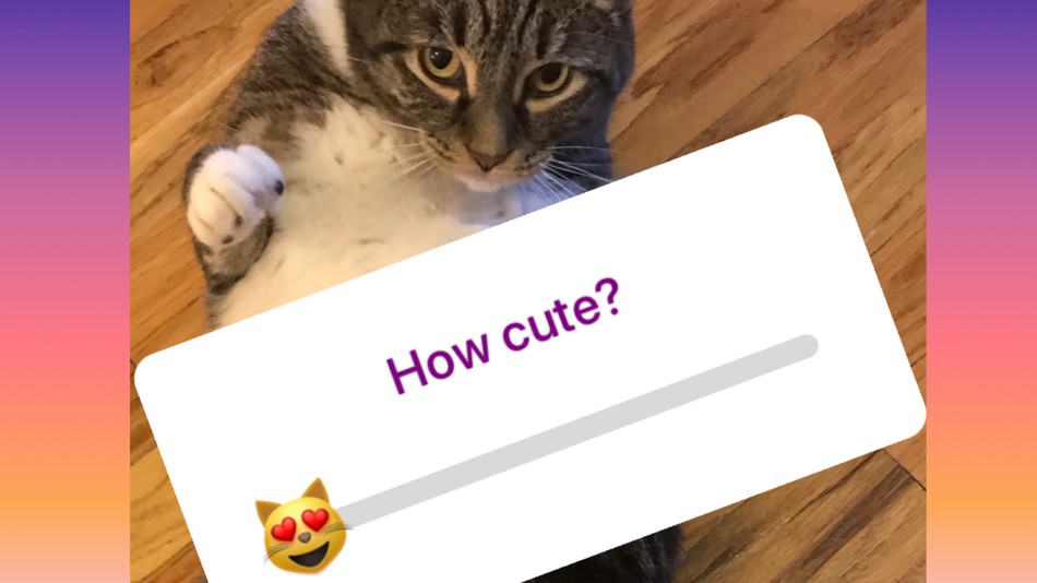 Beware the emoji slider!