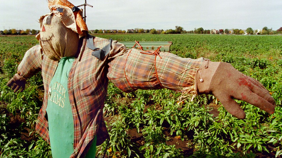 Scarecrows are so last year.