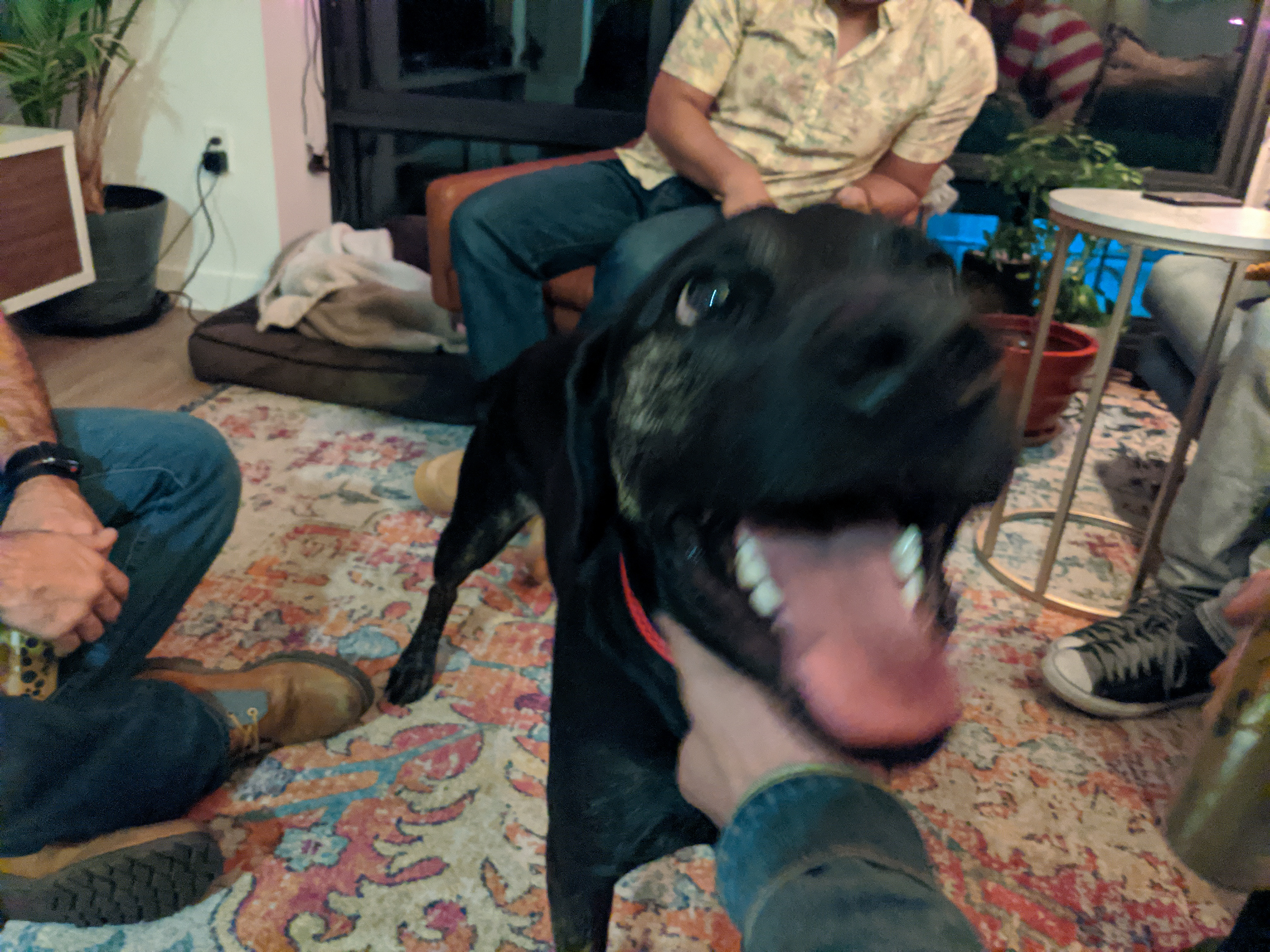 pixel4_011