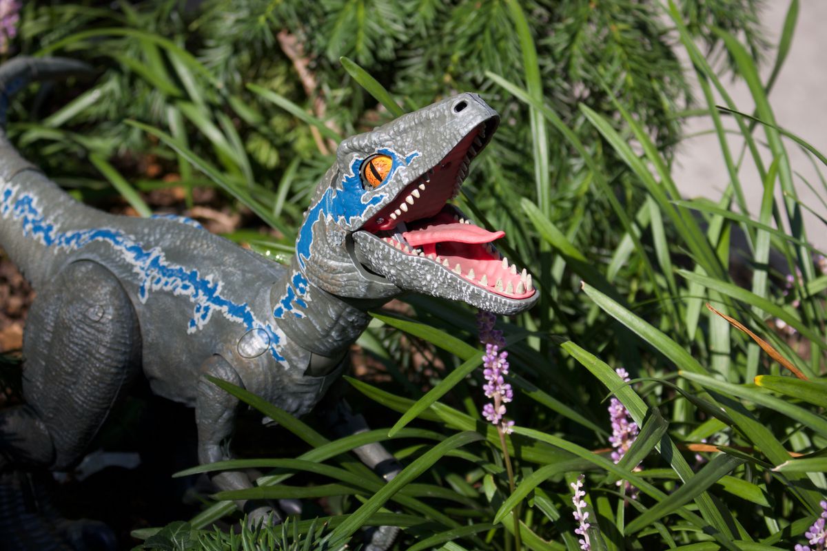 mattel blue velociraptor robot