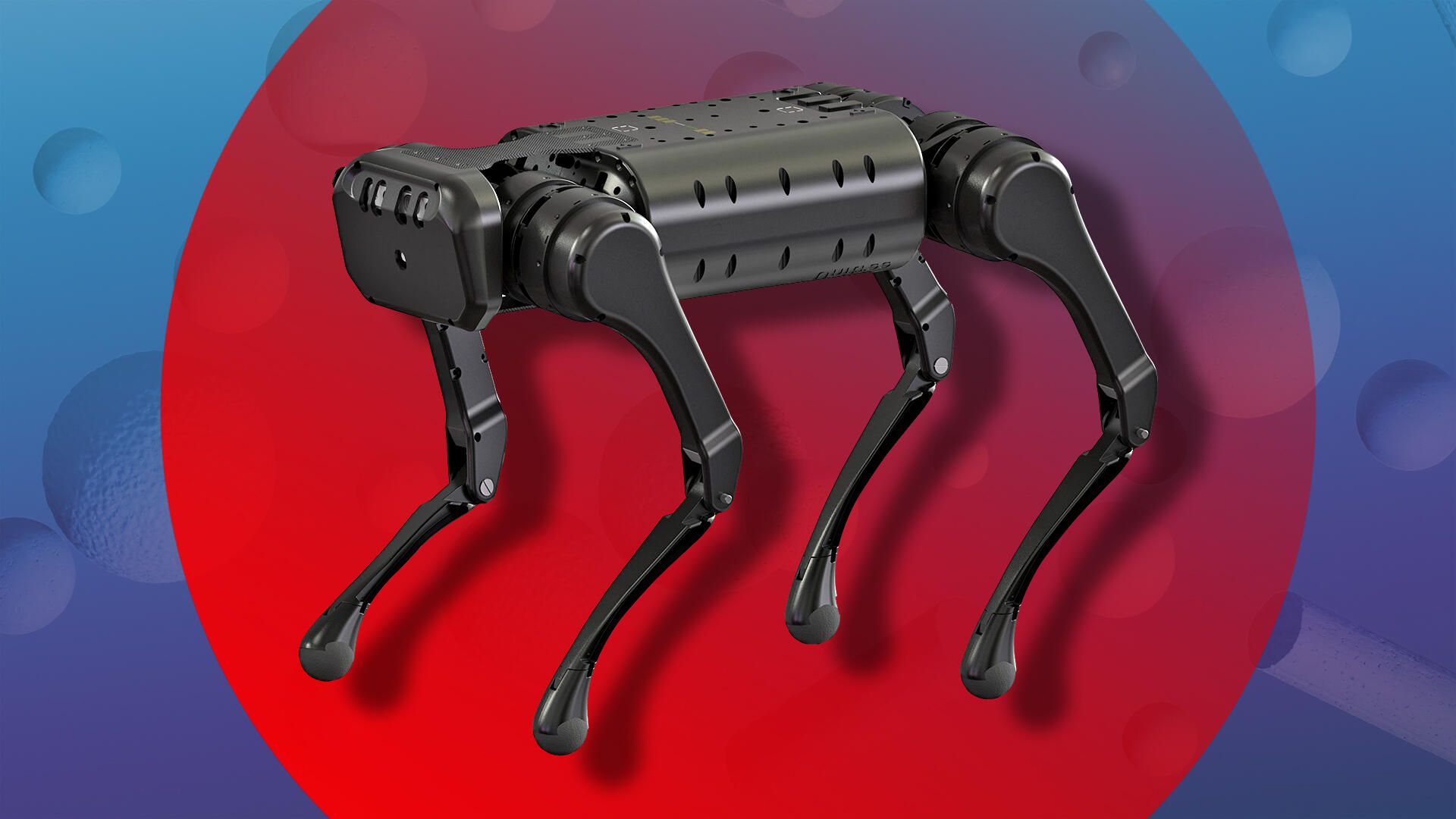 $10000 robot dog