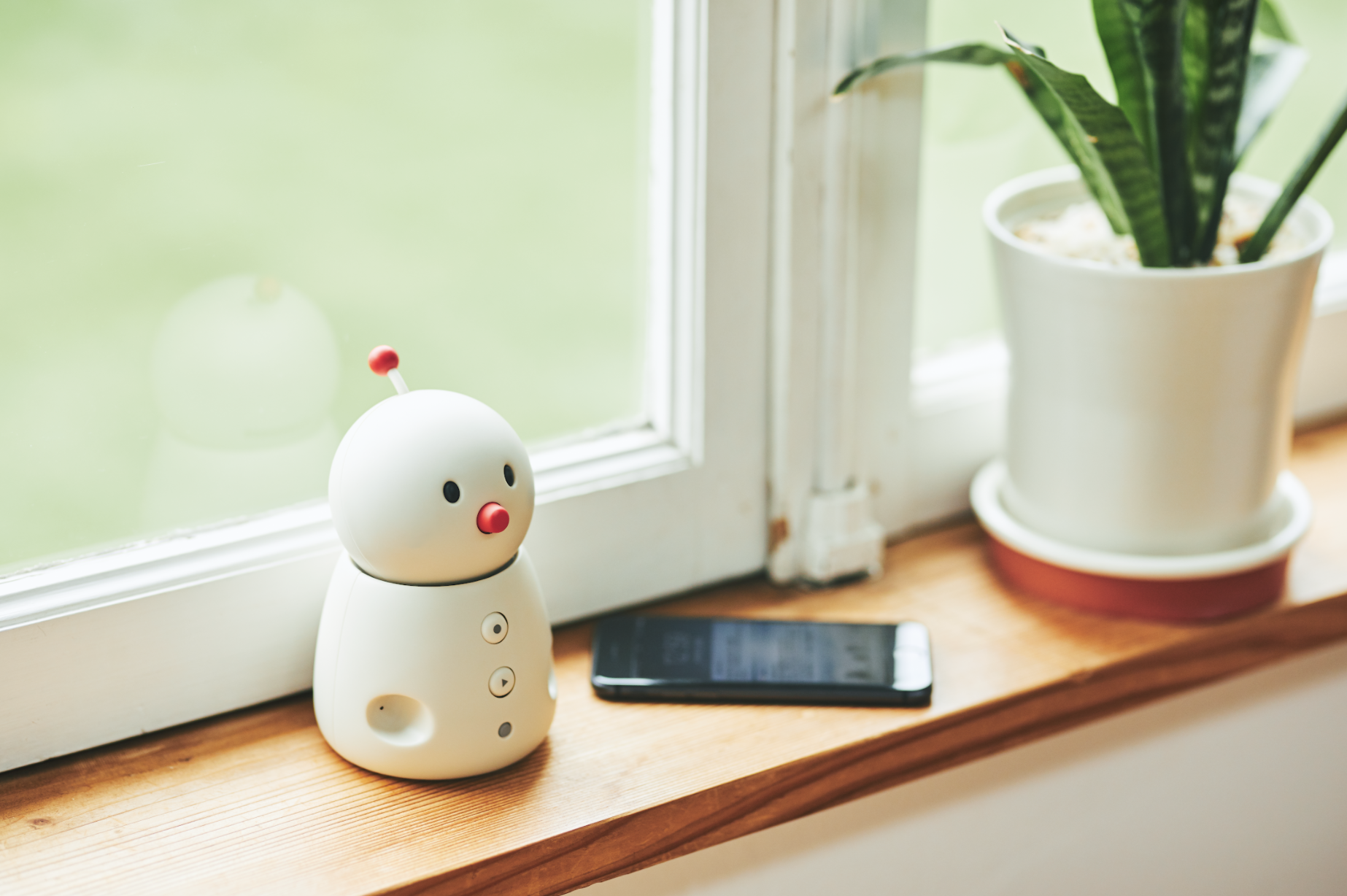 BEECO emo robot for monitoring health signs